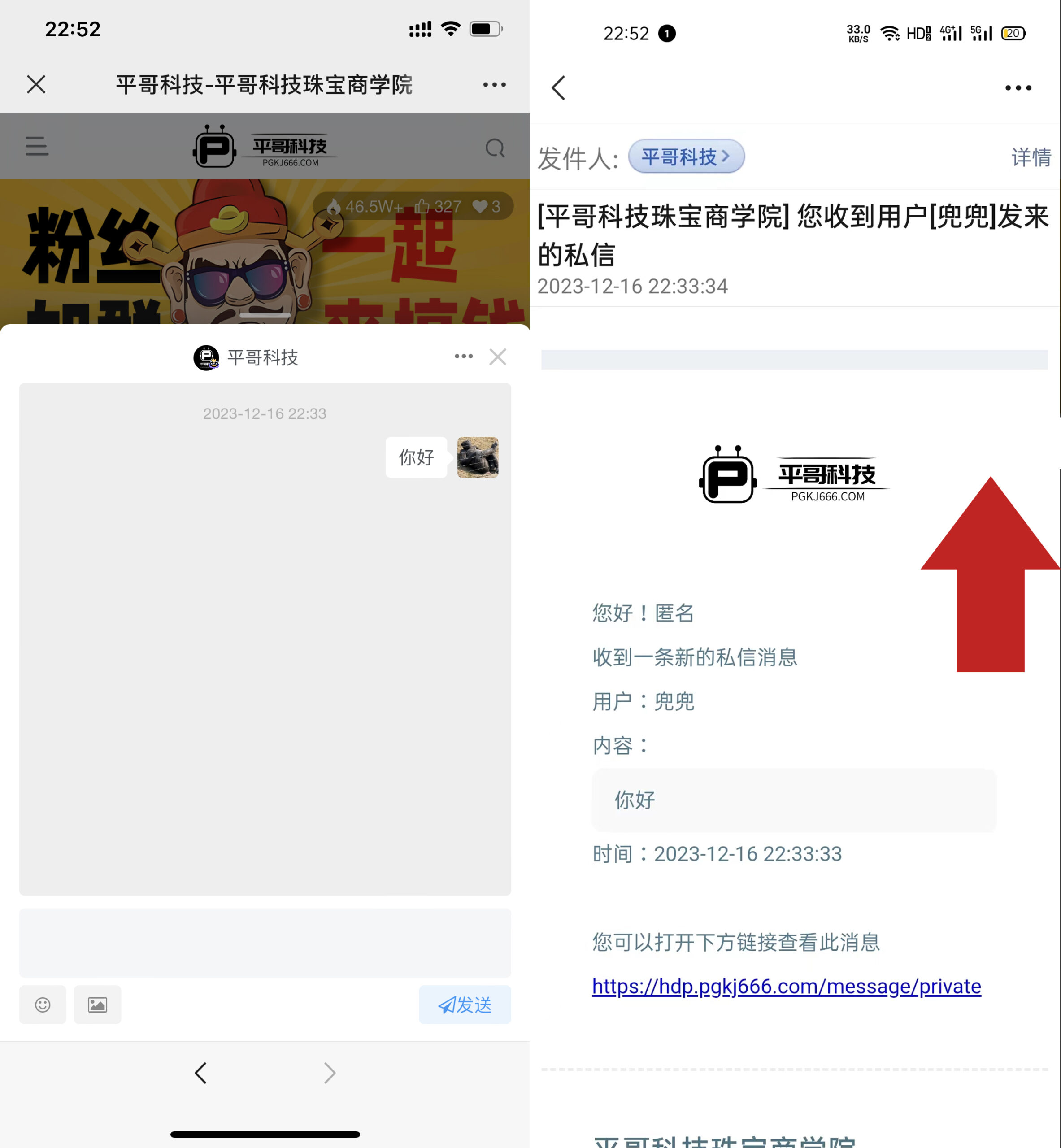 图片[3]-购买资料的用户使用手册-✒️珠宝方案资料-平哥科技珠宝商学院